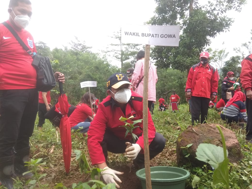 Kader PDIP Hijaukan Lahan Rusak di Manuju