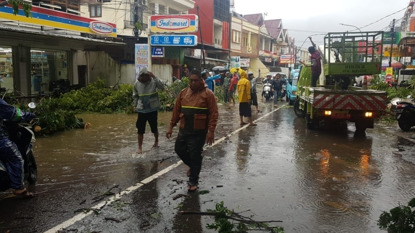 Lurah Batua Atasi Pohon Tumbang