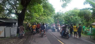 Pohon Tumbang Arus Lalulintas Terhalang Dua Jam