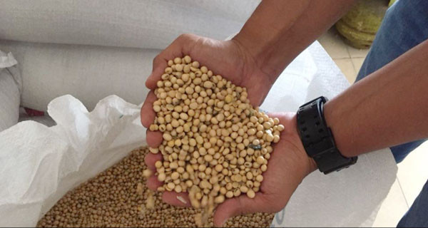 Kemendag Dorong Importir Terkait Stok Kedelai