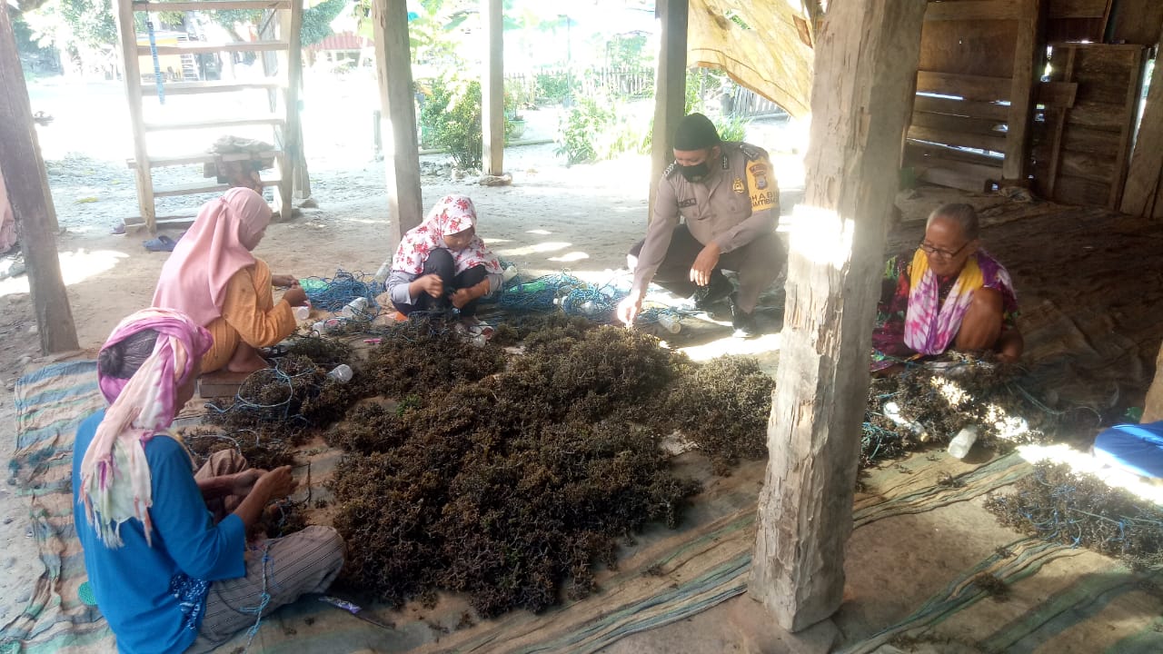 Bhabinkamtibmas Kunjungi Petani