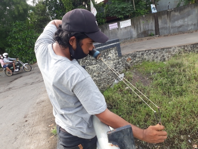 Demi Istri yang Senang Menikmati Ikan Nila