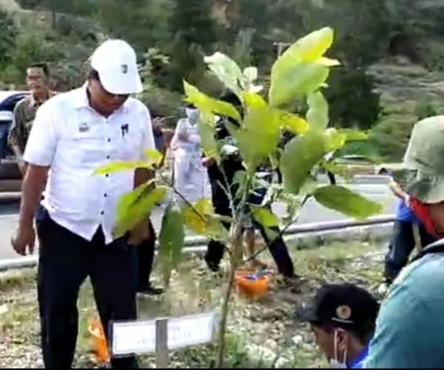 Theo Hijaukan Hutan Mapongka