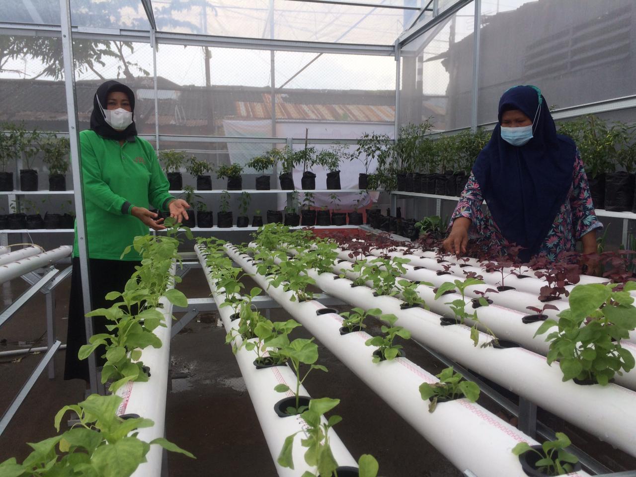 Diisi 600 Jenis Tanaman, Satu-satunya di Sulsel