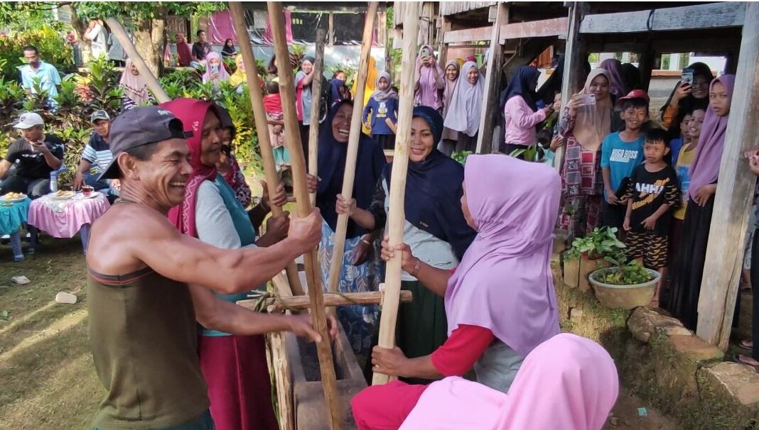 Menikmati Beras Ketan Muda  yang Ditumbuk Diiringi Paddeko