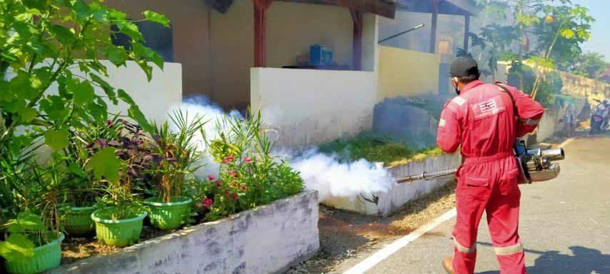 Dinkes Cegah Penyebaran DBD