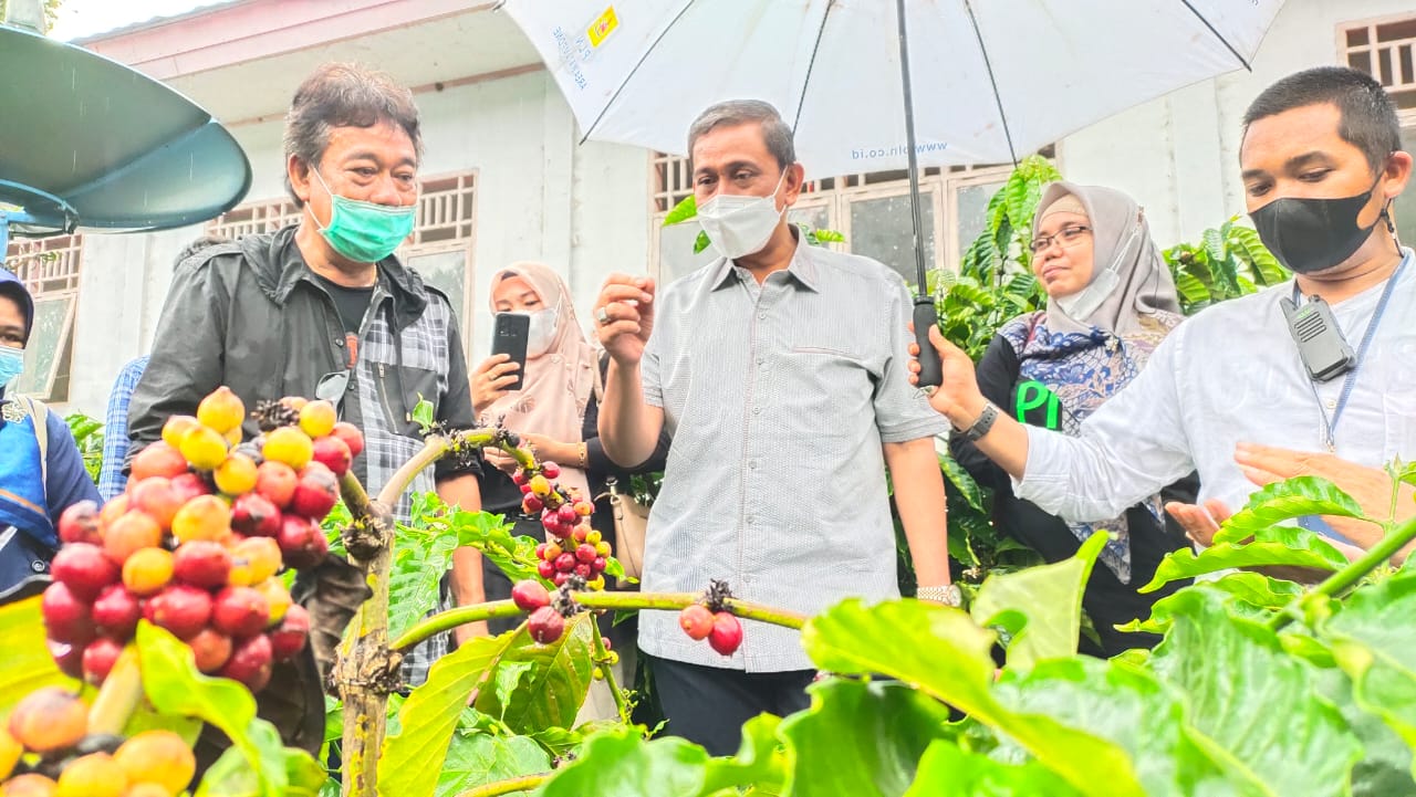 Amran Tertarik Kembangkan Kebun Kopi