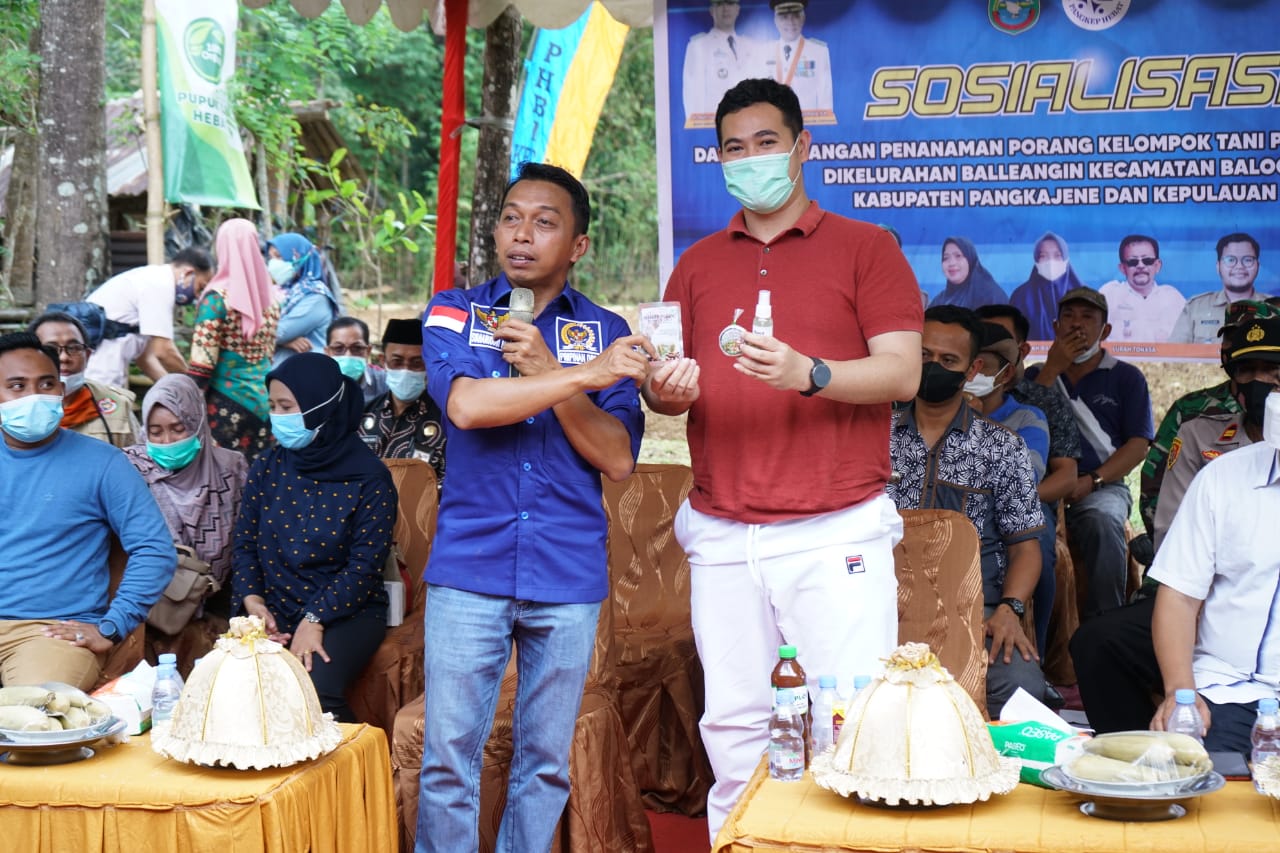 Syahar Bersama Bupati Pangkep Sosialisasi Budidaya Porang