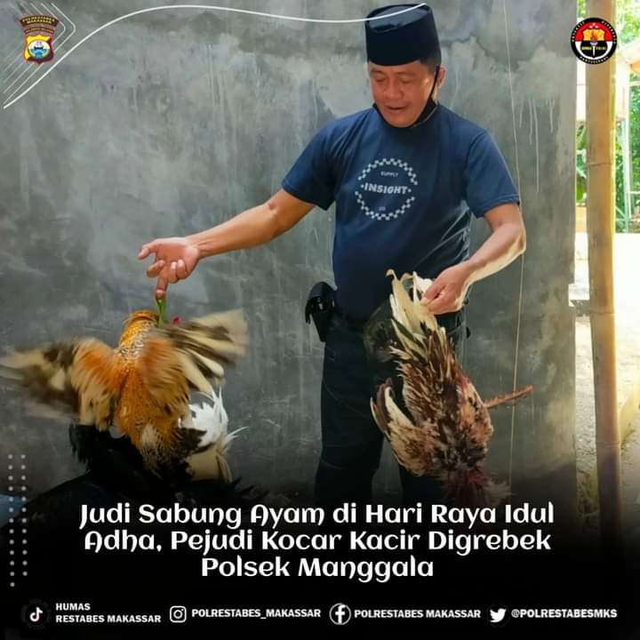 Usai Salat Iduladha, Polisi Gerebek Judi Sabung Ayam
