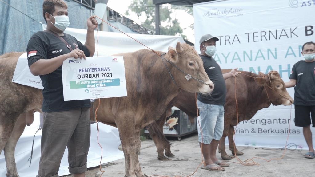 Grup Astra Sebar 2.379 Hewan Kurban ke 34 Provinsi