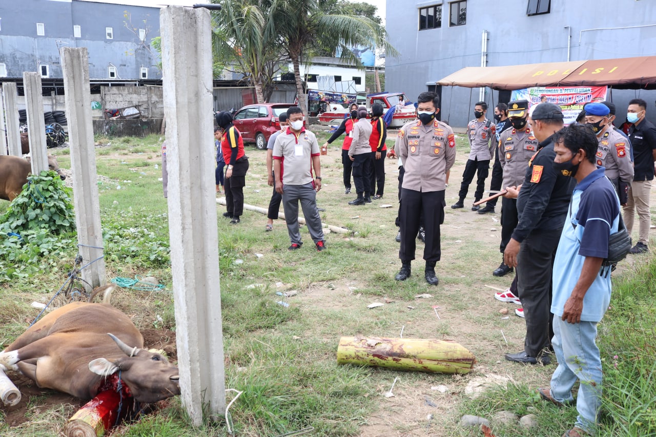 Idul Adha 1442 H, Polres Pelabuhan Makassar kurban 18 Ekor Sapi