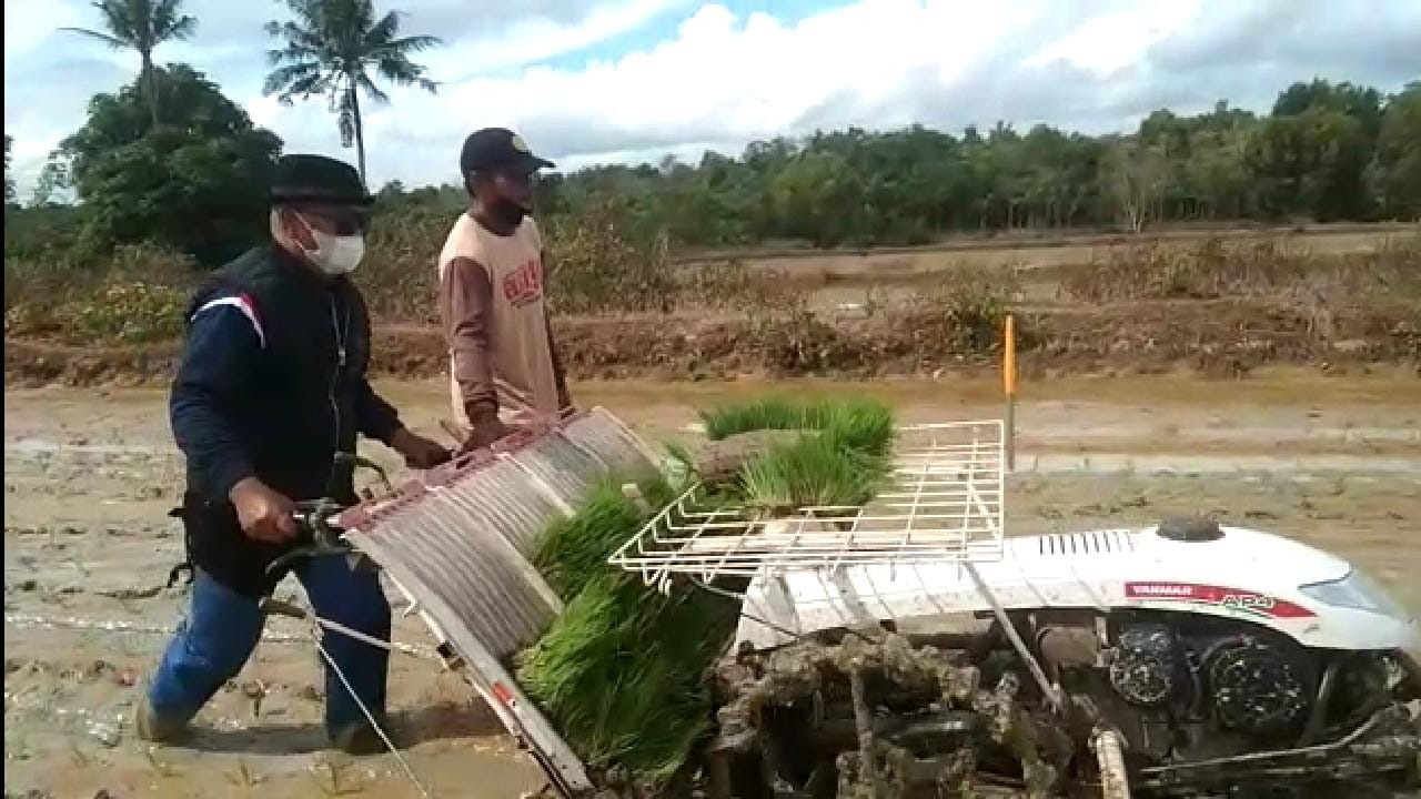 Bupati Tanam Padi Pakai Mesin