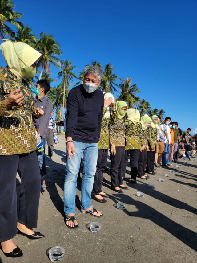 Bupati Pinrang Lepas 500 Bayi Penyu