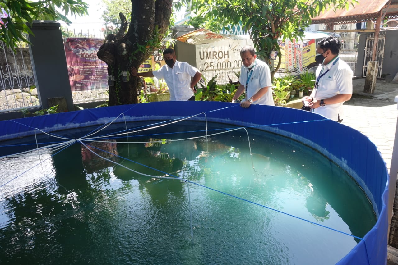 Pegadaian Kanwil VI Bantu Budidaya Ikan Nila di Sombaopu