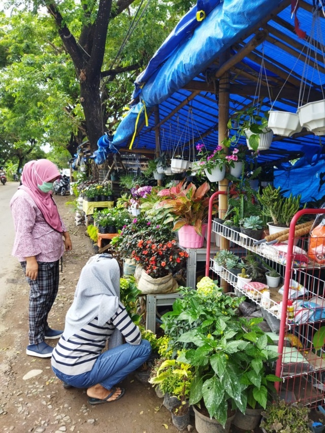 Di Awal Pandemi Bisa Mengantongi Keuntungan Rp7 Juta per Hari