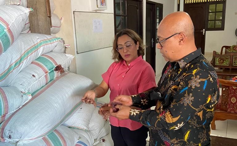 KBI Dorong Eksportir Rumput Laut Manfaatkan Resi Gudang