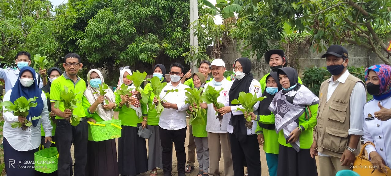 Warga Lorong Wisata Panen Sawi