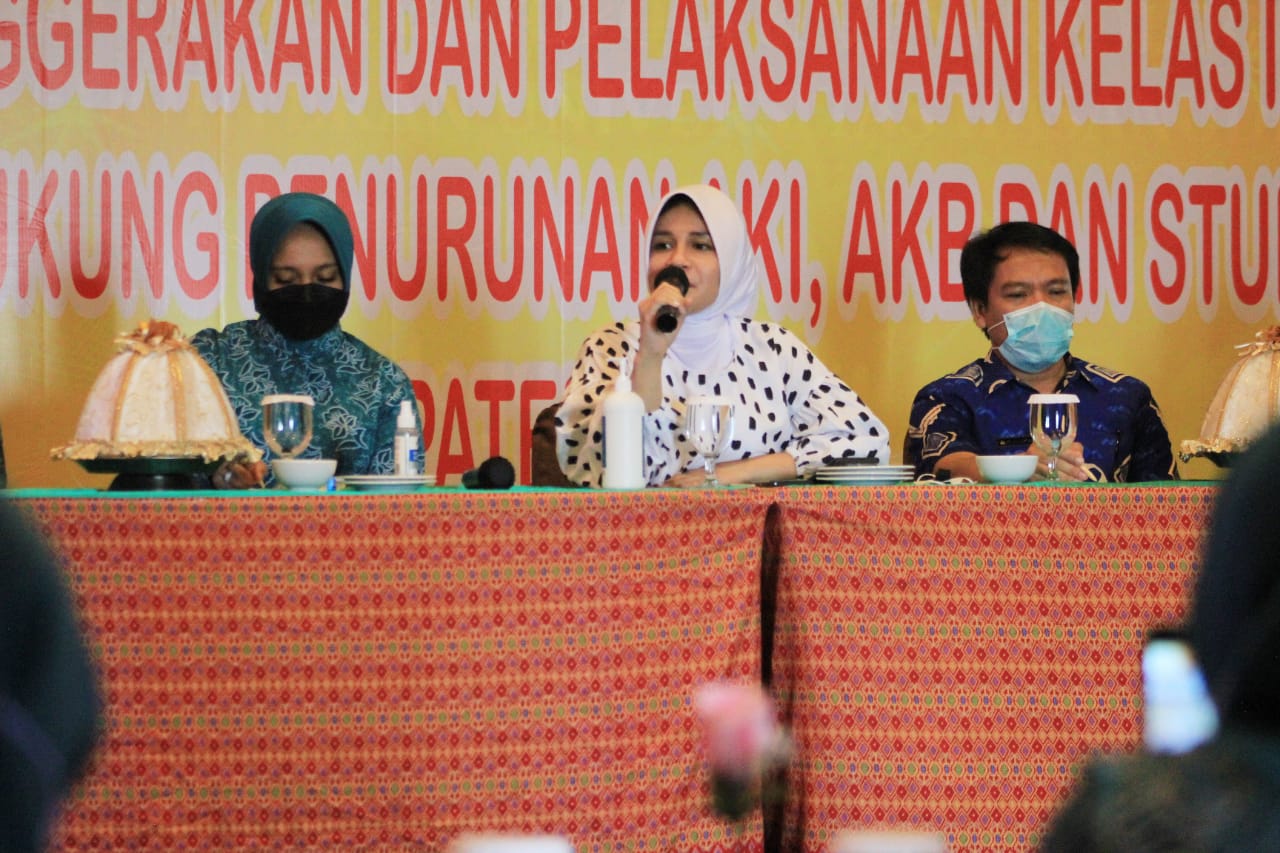 PKK akan Buka Kelas Ibu Hamil di Desa