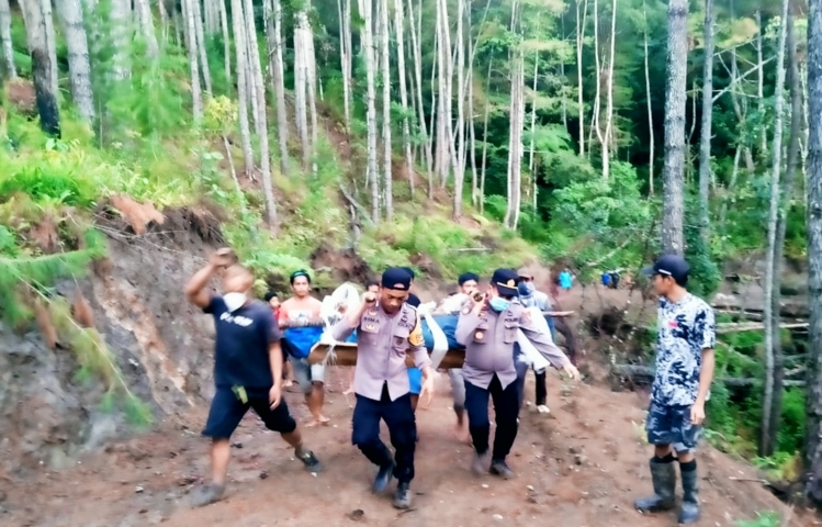 Dua Karyawan Tewas Tertimpa Pohon