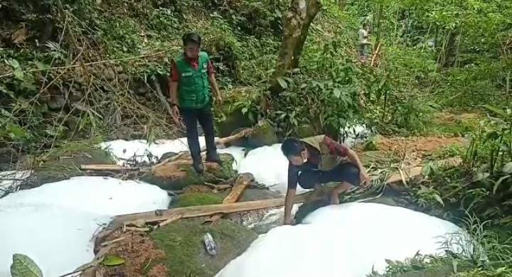 Heboh Busa Tebal  di Aliran Air  Lereng Gunung