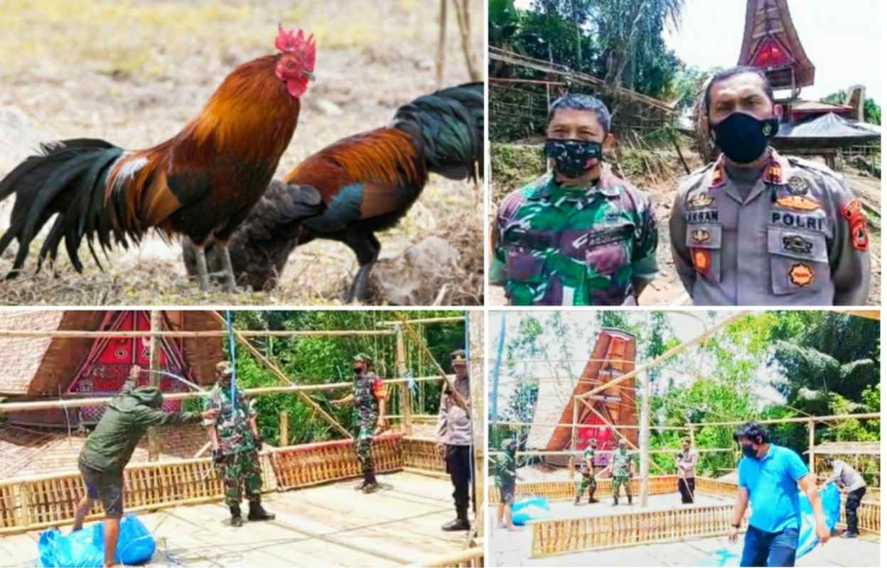 Kapolsek Bersama Danramil Sangalla Bongkar Arena Judi Sabung Ayam