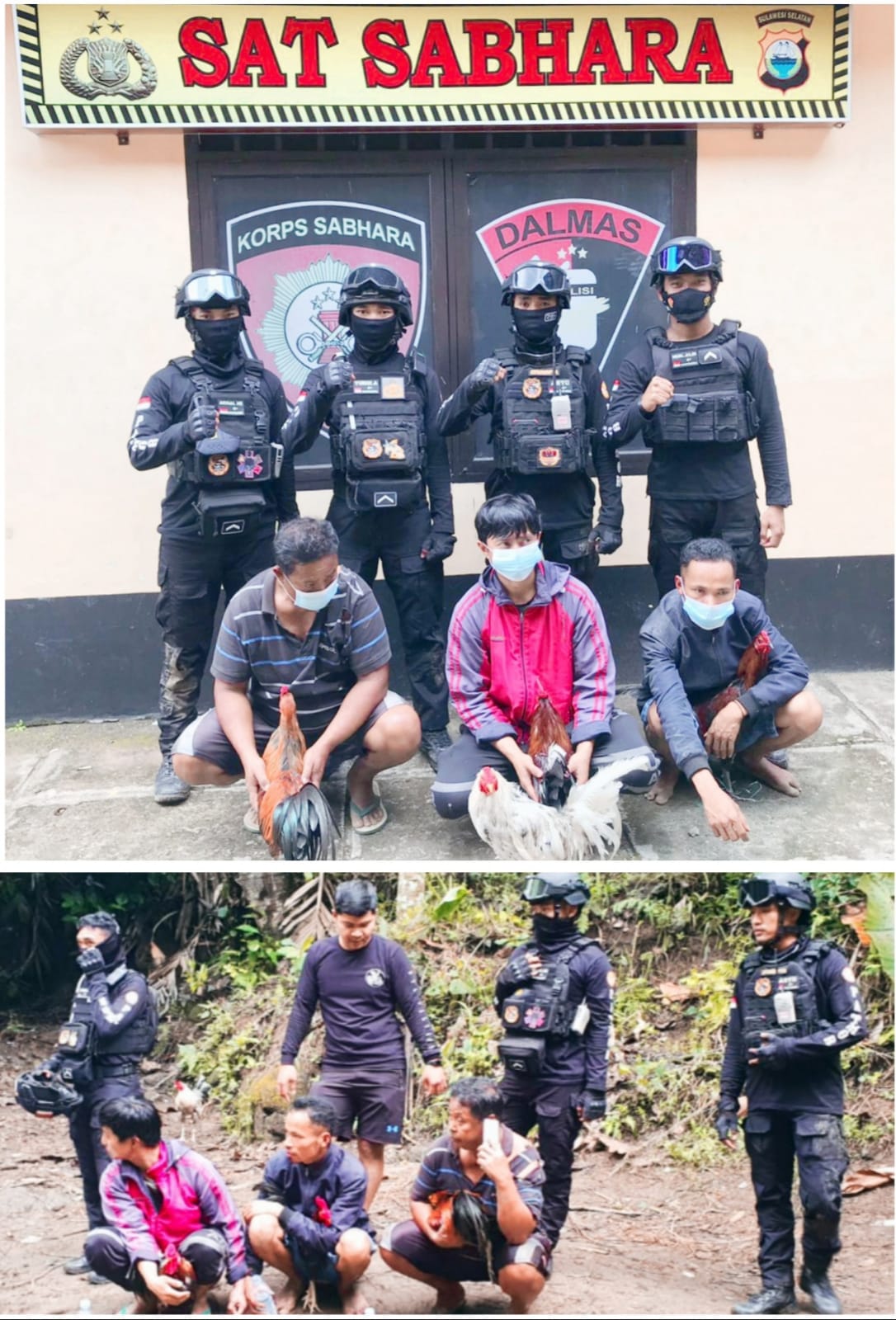 Juara Silalahi, Tidak Ada Ampun Penjudi Sabung Ayam Di Tana Toraja