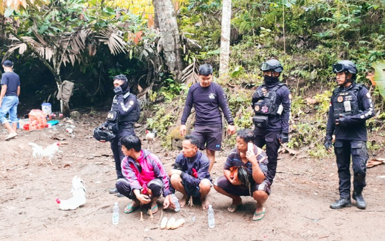 Kapolres Tegas,  Sikat Penjudi Sabung Ayam