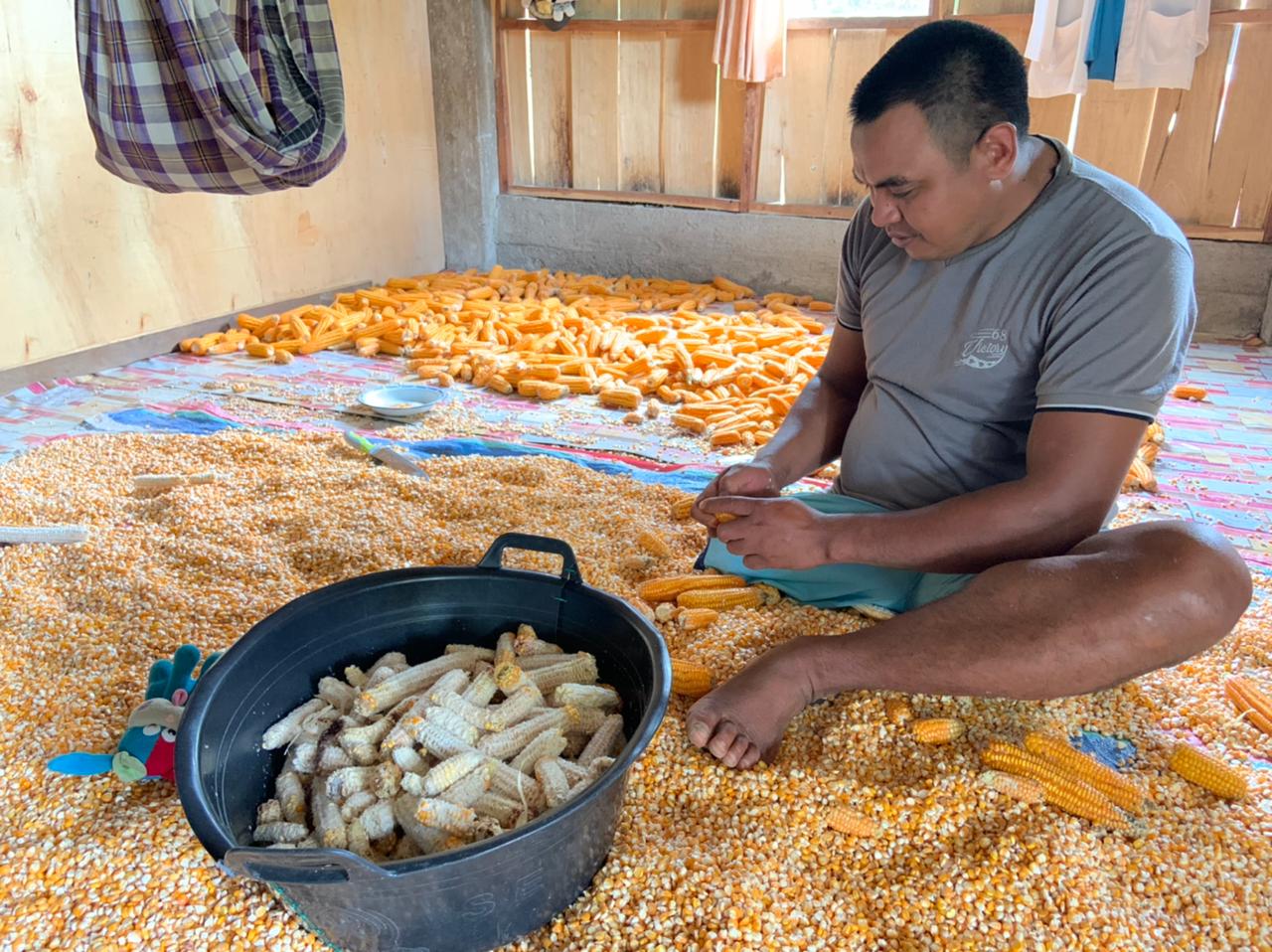 Ini Kisah Inspiratif Ayah Difabel Hidupi Keluarga dari Bertani Jagung