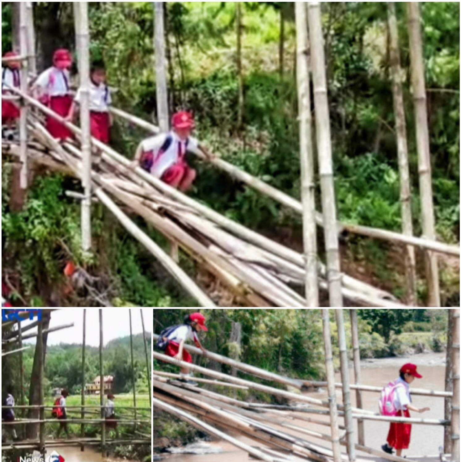 Miris Guru dan Murid SD Balusu ke Sekolah Lintasi Jembatan Lapuk