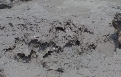 Warga Dikejutkan Semburan Lumpur