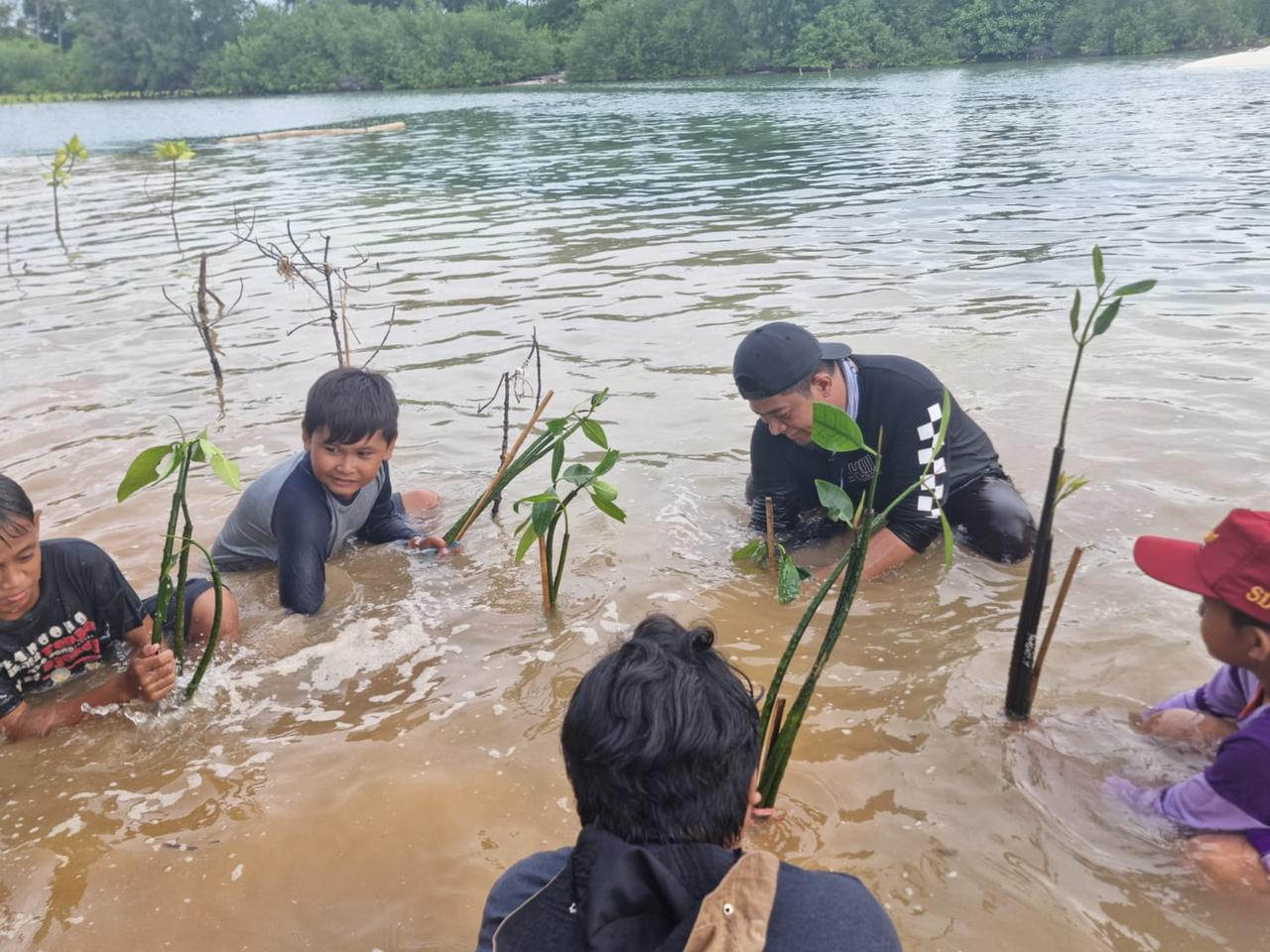MPS Tanam 3.000 Bibit Mangrove di Pesisir Pulau Kapoposang