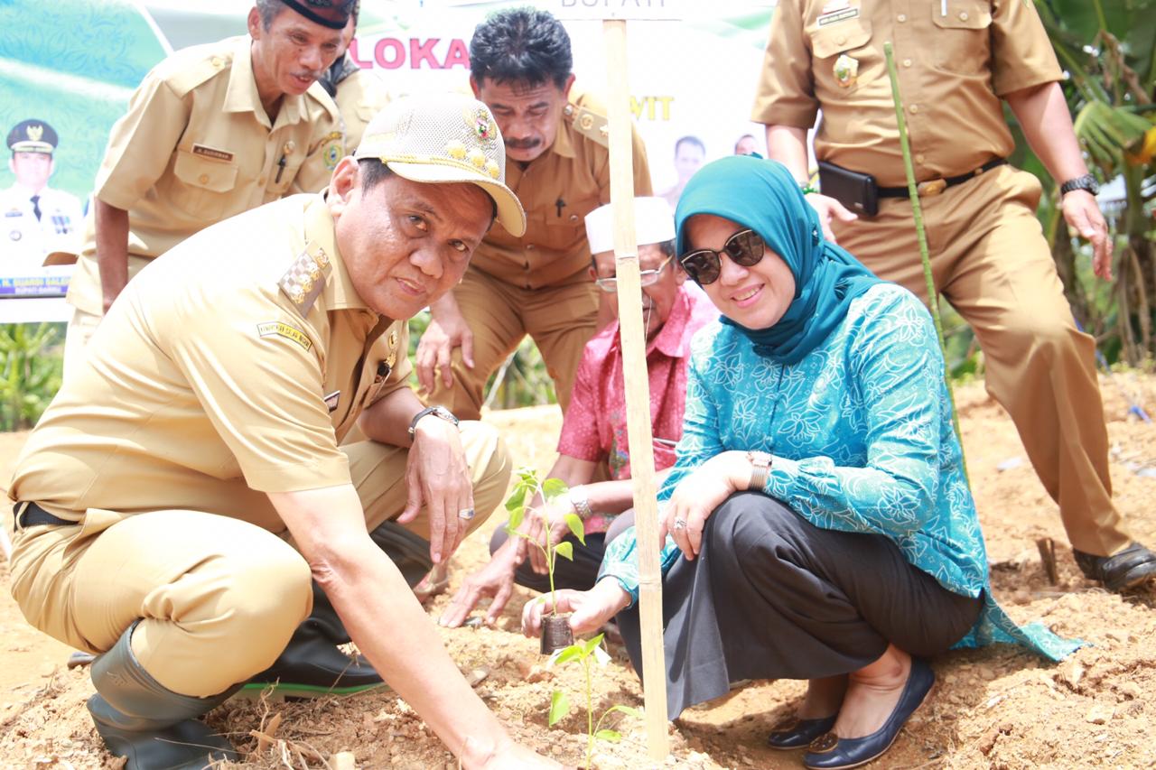 Kacang Yassiberrui Tembus Tiga Negara