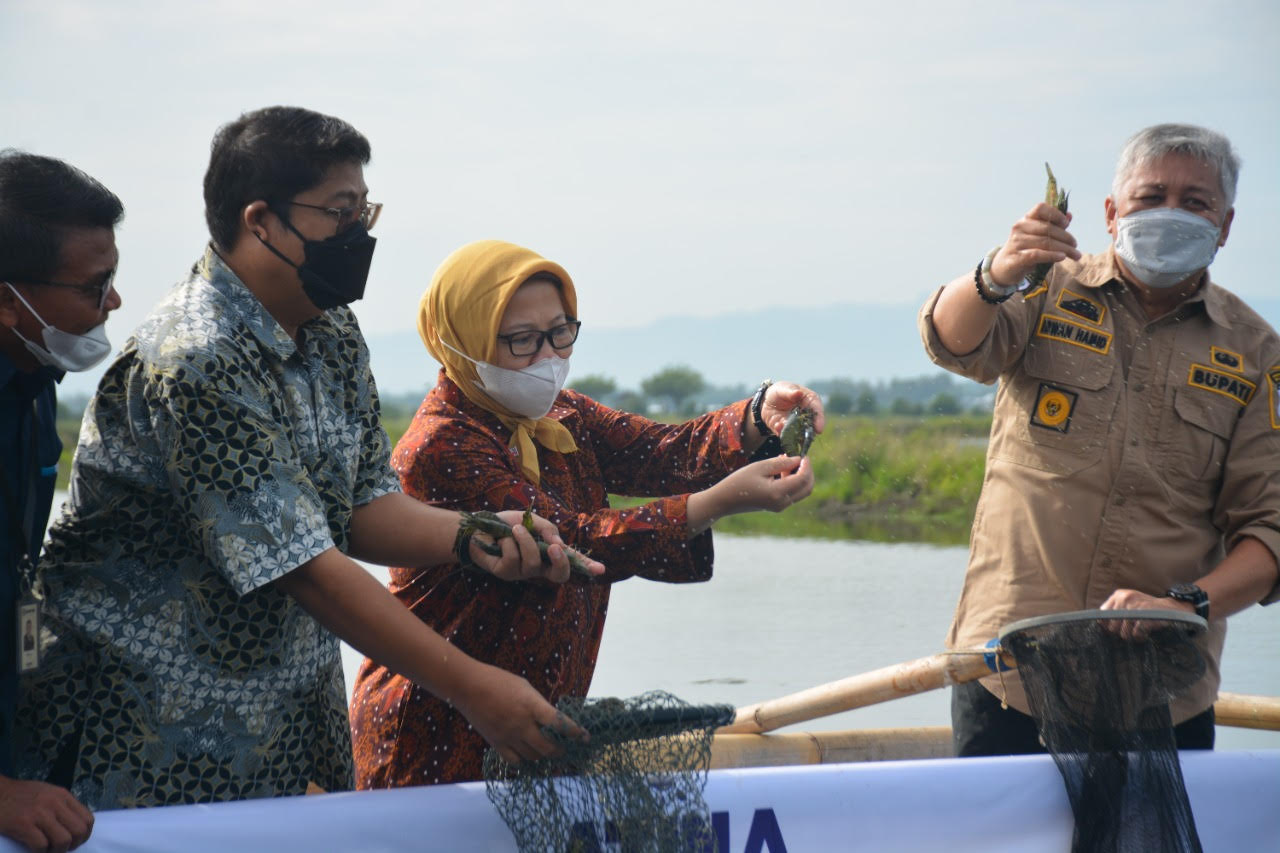 Dirjen Kelautan Tinjau Bantuan Petani Tambak