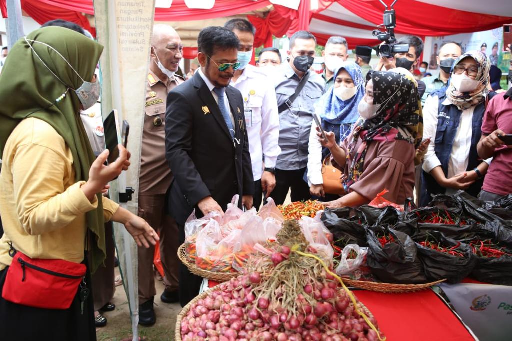 Mentan Jamin Ketersediaan  Pangan Hingga Idulfitri