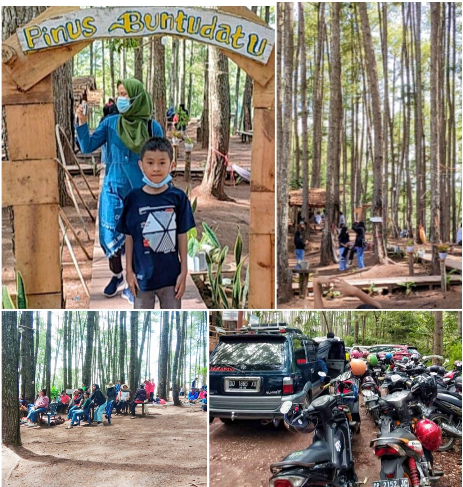 Pengelola Hutan Pinus Buntu Datu Janji Siapkan Lahan Parkir