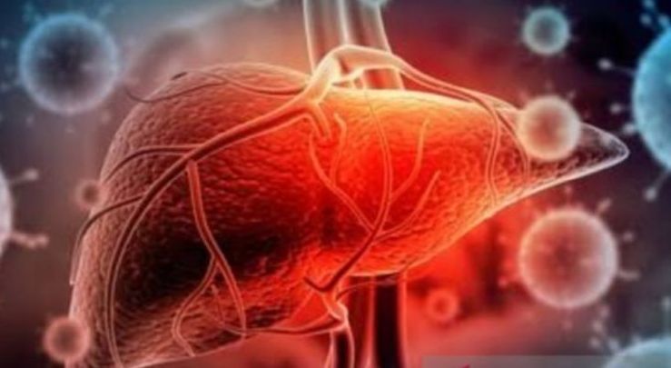 Dinkes Sulsel Waspadai Masuknya Hepatitis Misterius