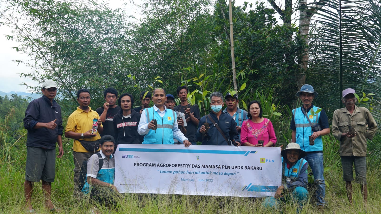 Hari Lingkungan Hidup Sedunia, PLN UPDK Bakaru hadir dengan Agroforestry DAS Mamasa