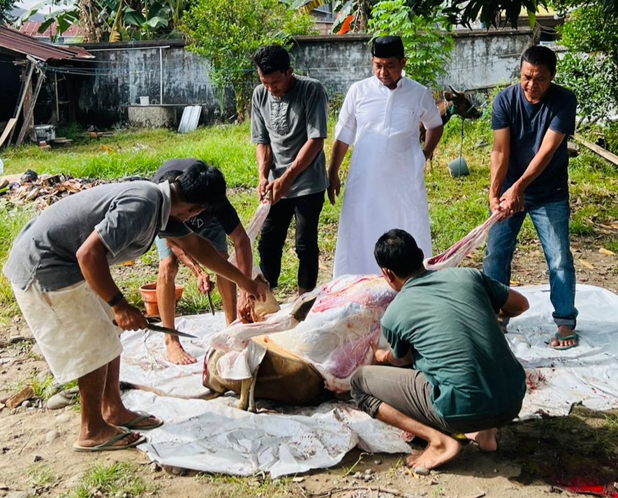 MPS Bagikan Daging Sapi Bantuan Gubernur