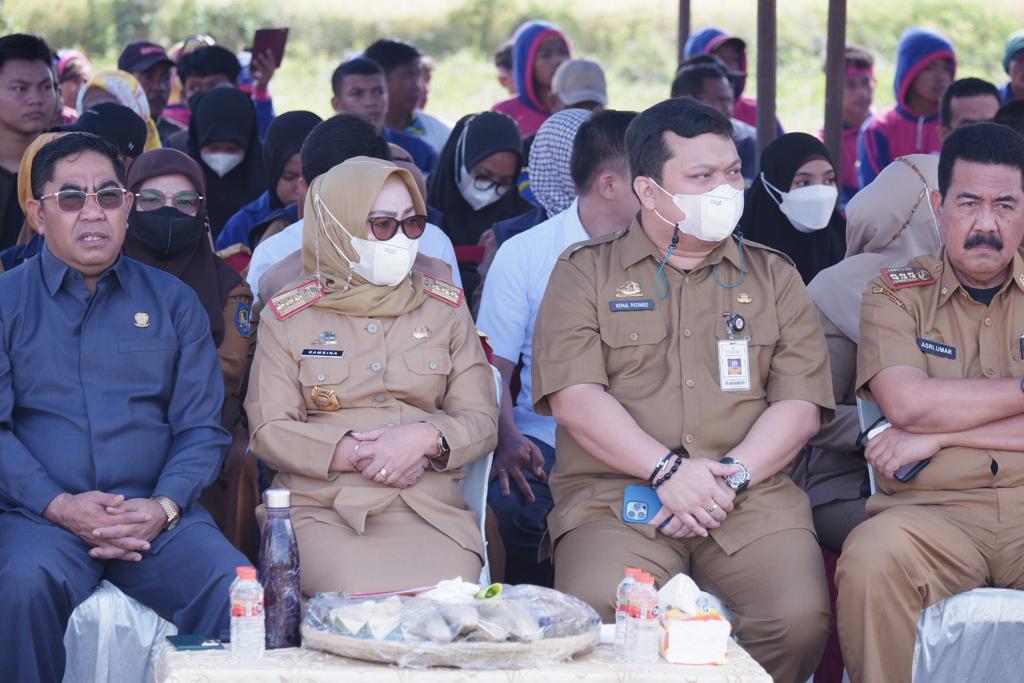 Padi Organik di Manjalling Mulai Dipanen