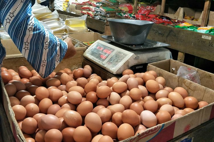 Pemprov Gagas Konsumsi Telur