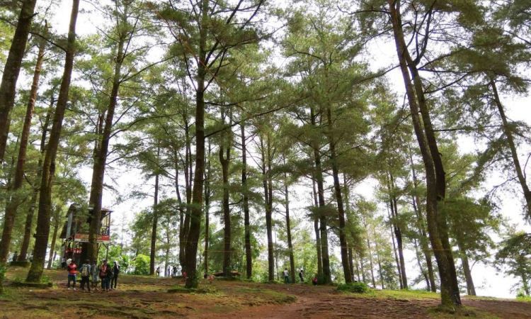 Kunjungan Wisatawan Gowa Mulai Pulih