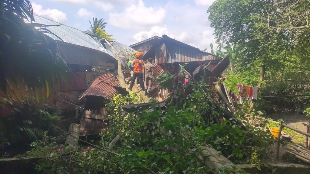 Timpa Rumah Warga, Tim SAR Brimob Bone Bantu Evakuasi Pohon Tumbang