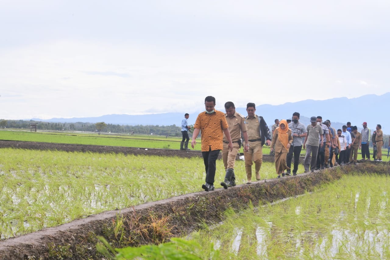 Suplai Kebutuhan di 10 Provinsi di Indonesia