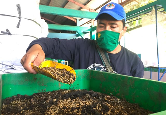 Punya Potensi Ekonomi, Longwis Jadi Lokasi Budidaya Maggot