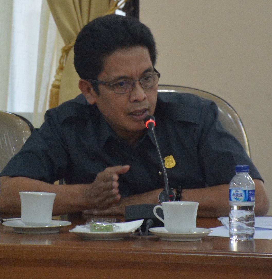 Legislator Demokrat Puji Kinerja Mitra MB