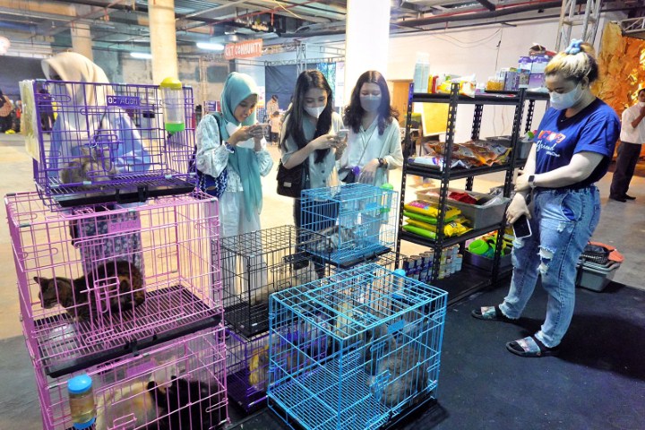 Animal Zone Nipah Park Jadi Ajang Pemersatu Pecinta Hewan Peliharaan