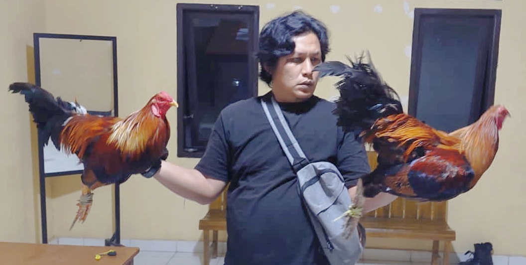 Pelaku Lolos, Motor dan Ayam Disita
