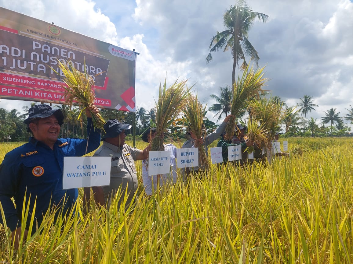 Pemkab Sidrap Dukung Panen  Padi Nusantara Sejuta Hektare