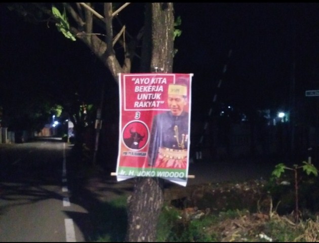 DPLHK Warning Baliho tak Rusak Pohon