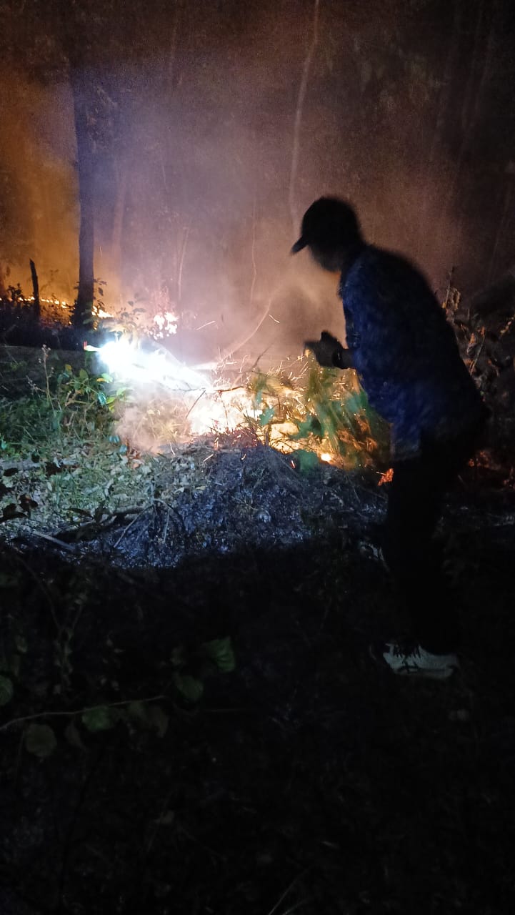 Lebih 1 Ha Kebun Kopi di Topidi  Terbakar, Akses Pendaki Ditutup